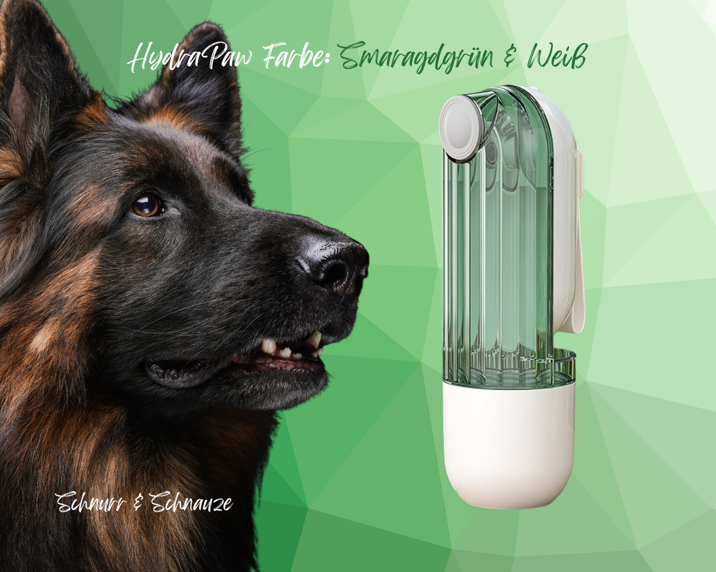 HydraPaw | die 3-in-1 Trink- & Futterflasche