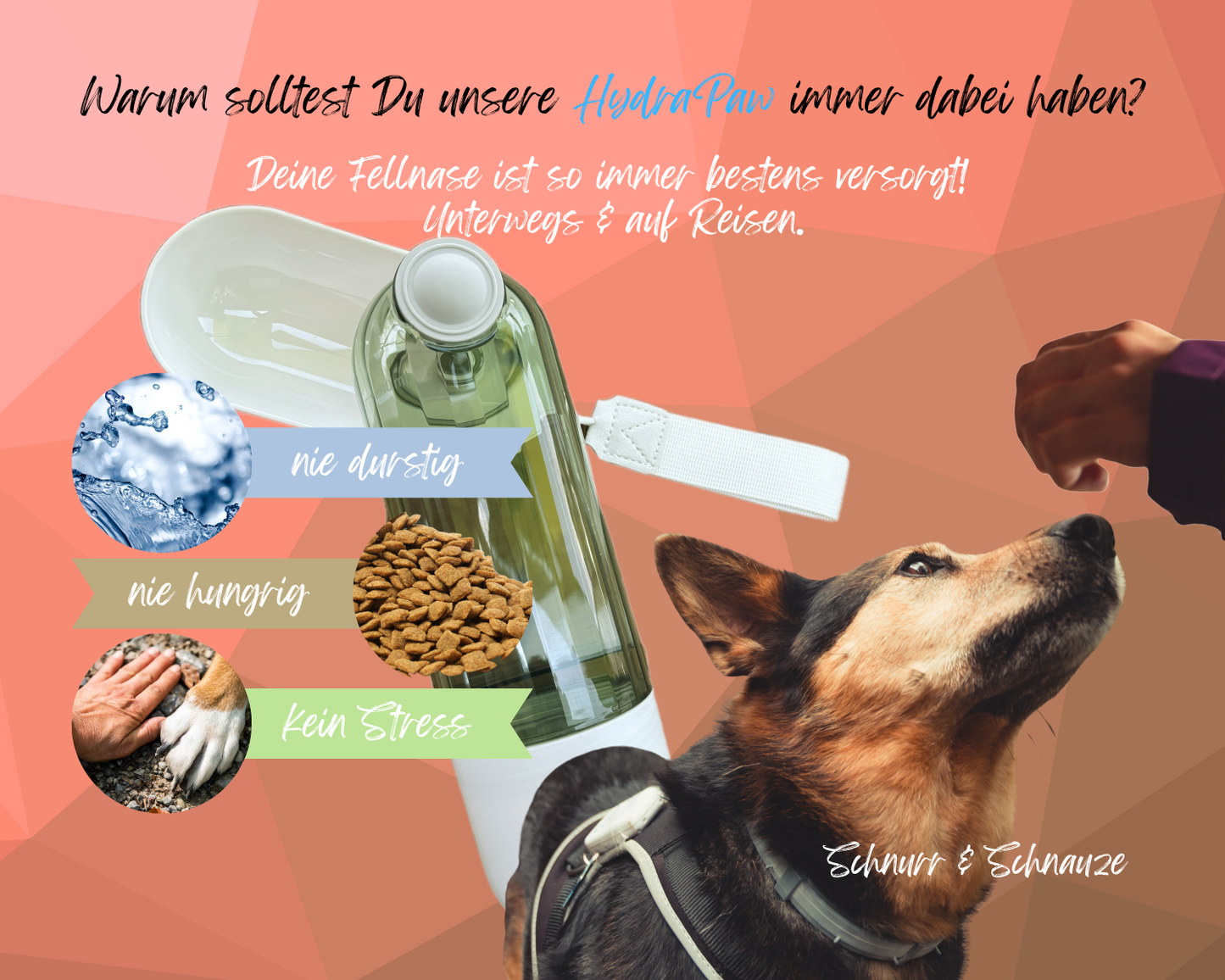 HydraPaw | die 3-in-1 Trink- & Futterflasche